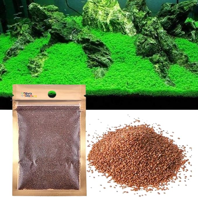 AquaFresh™ - Fish Tank Purifying Plant Seeds