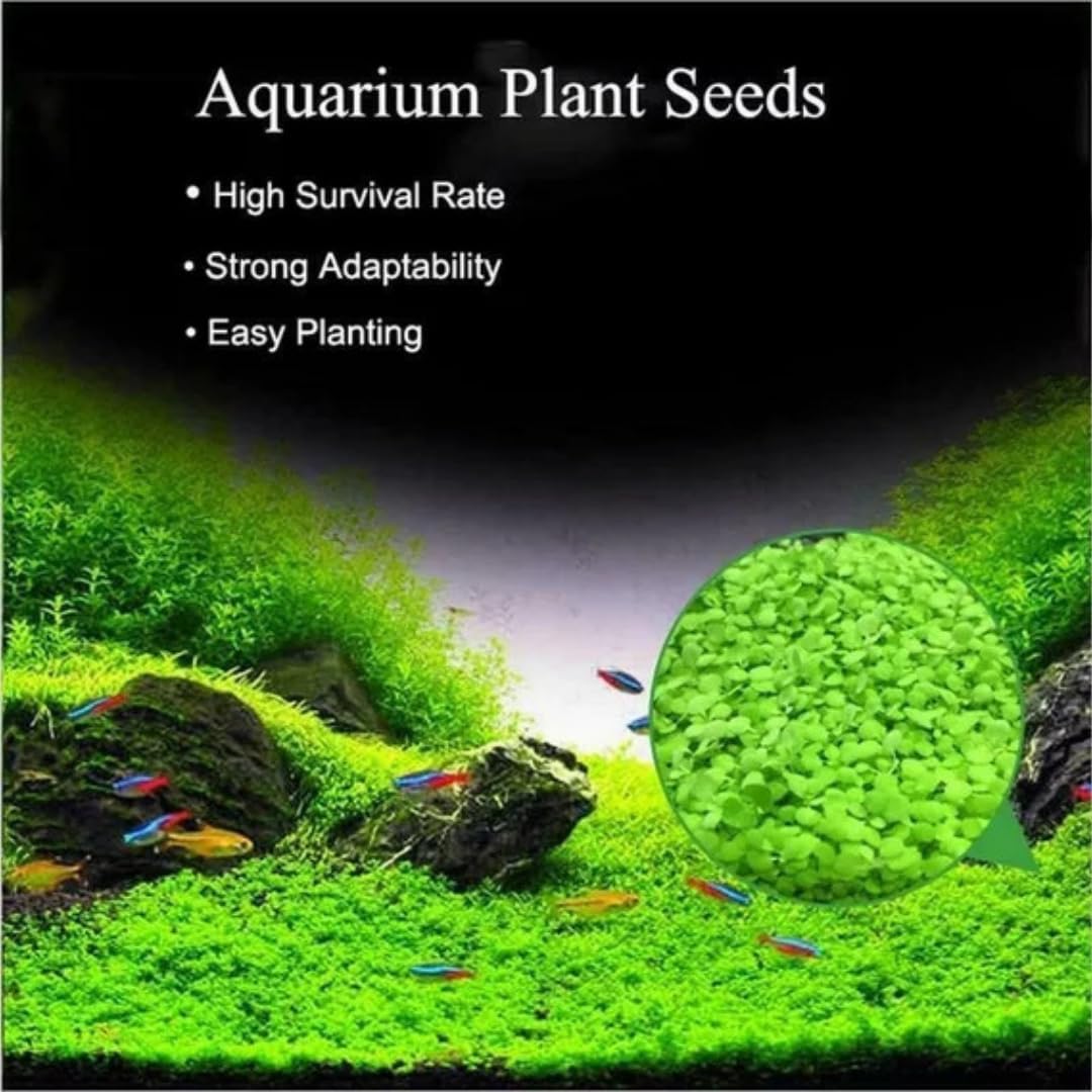 AquaFresh™ - Fish Tank Purifying Plant Seeds