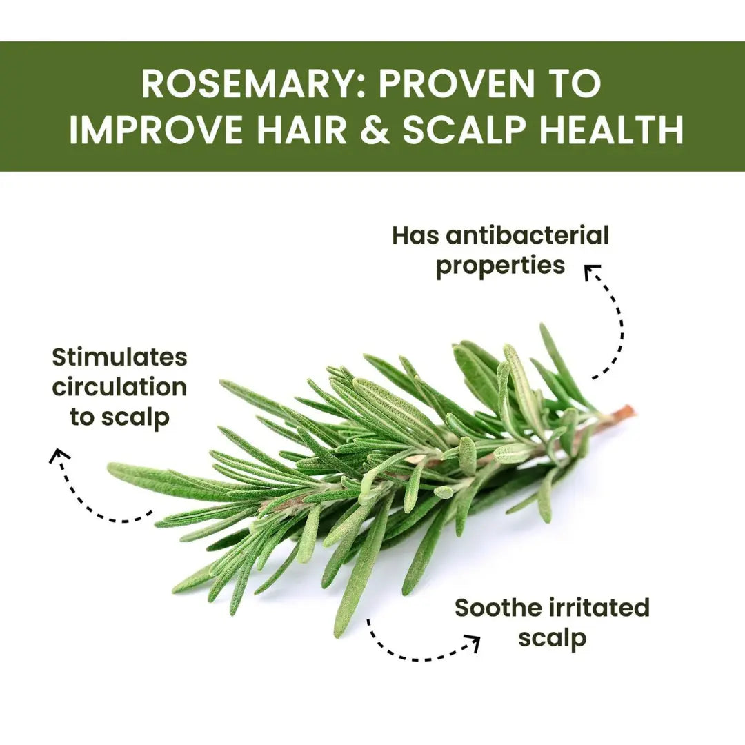 Rosemary Water Spray | For Hair Regrowth (Buy 1 Get 2 Free 😍)