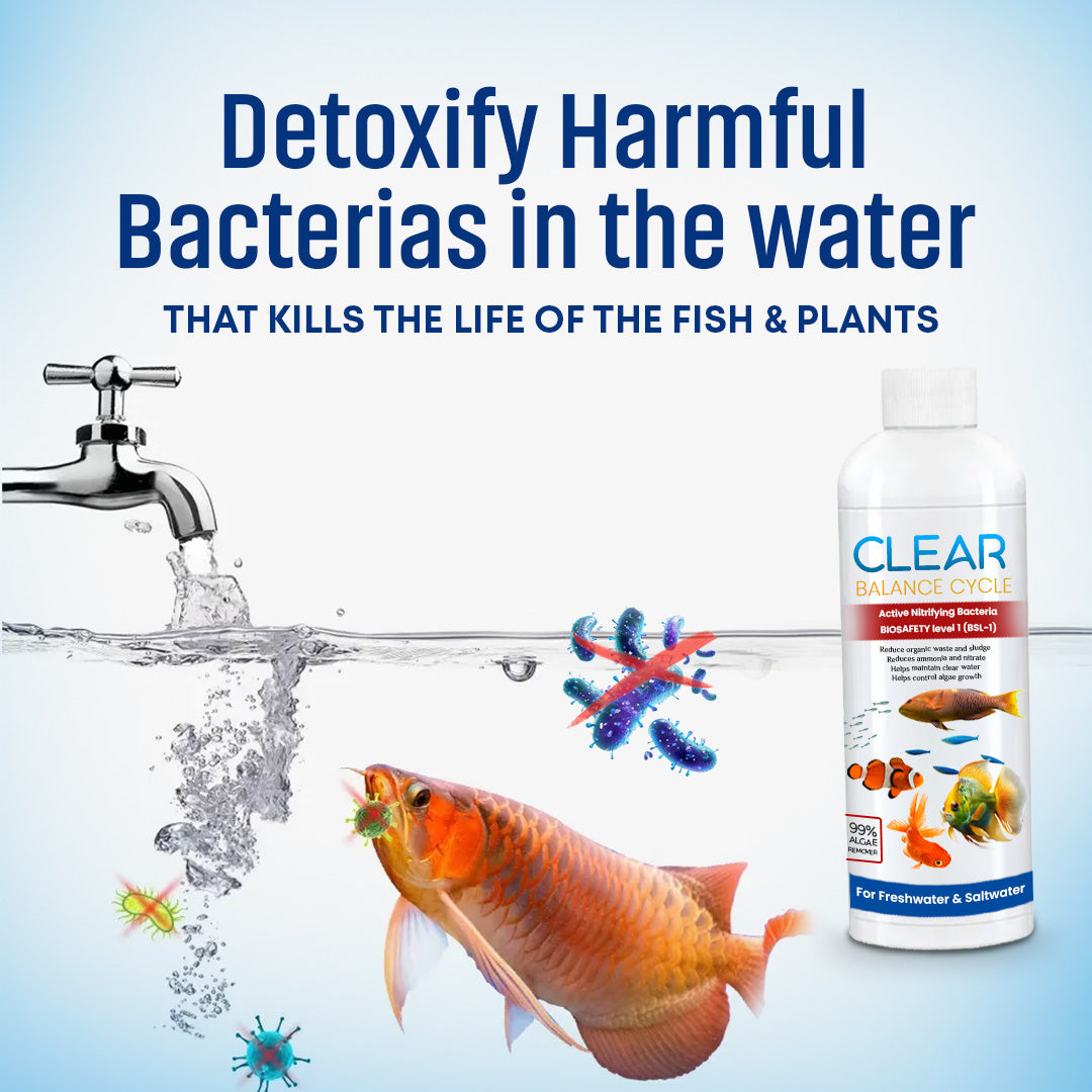 TankFresh™ Automatic Fish Tank Cleaner – (Buy 1 Get 1 Free🔥)