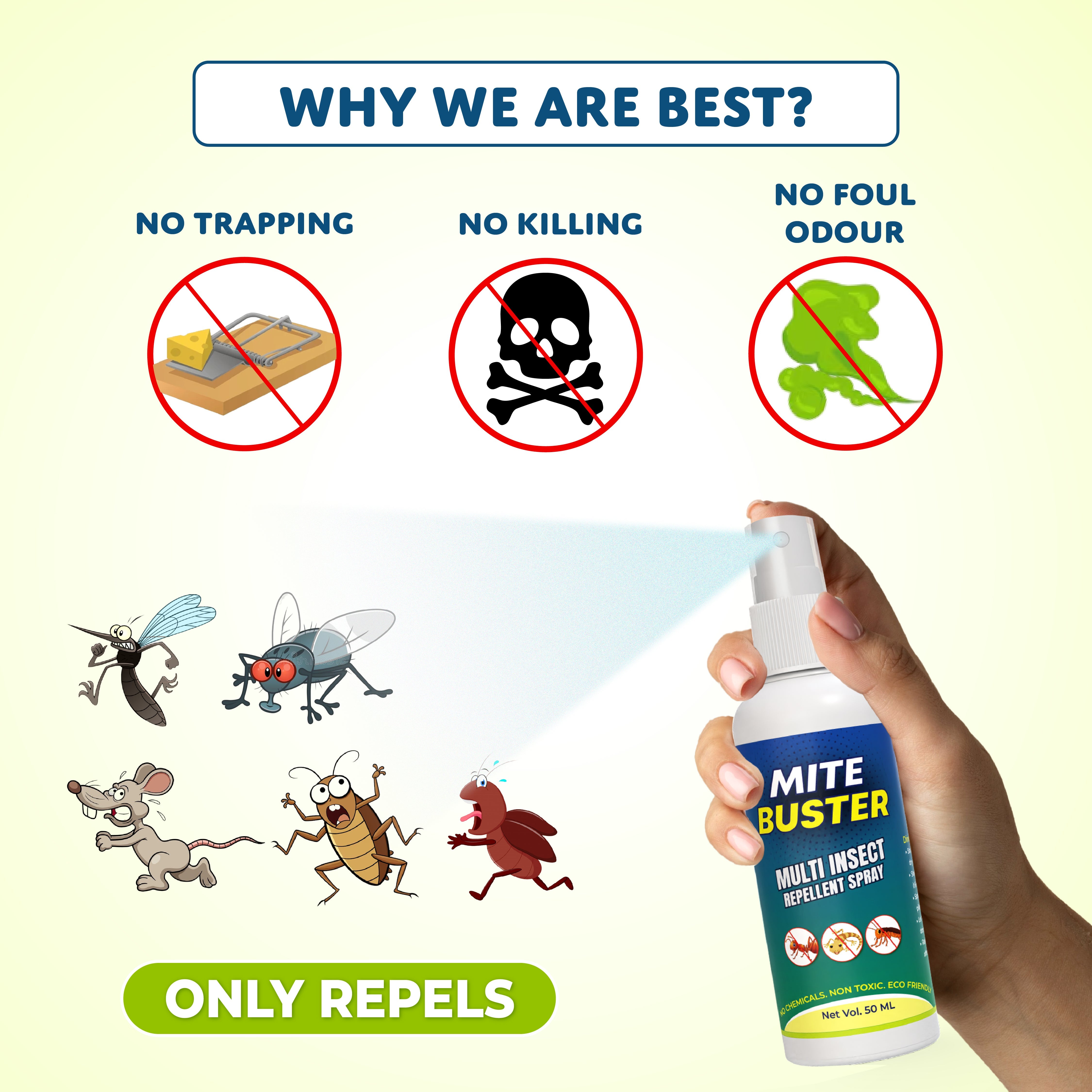 MiteBuster™ Spray – Ultimate Ant, Cockroach, Bed Bugs, Spider Killer 🪲✨